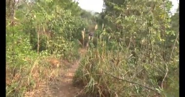 Bir grup insan dağlara ve ormanlara tırmanıyor.