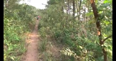 Bir grup insan dağlara ve ormanlara tırmanıyor.