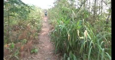 Bir grup insan dağlara ve ormanlara tırmanıyor.