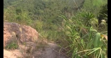 Bir grup insan dağlara ve ormanlara tırmanıyor.