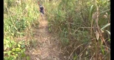 Bir grup insan dağlara ve ormanlara tırmanıyor.