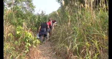 Bir grup insan dağlara ve ormanlara tırmanıyor.