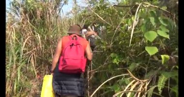 Bir grup insan dağlara ve ormanlara tırmanıyor.