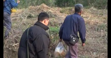 Bir grup insan dağlara ve ormanlara tırmanıyor.