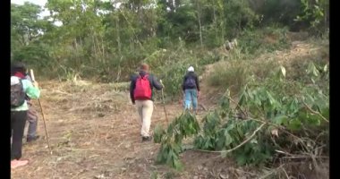 Bir grup insan dağlara ve ormanlara tırmanıyor.