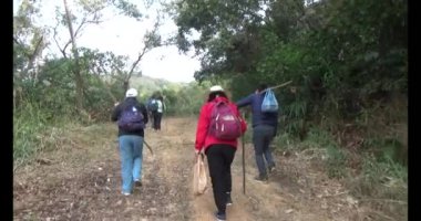 Bir grup insan dağlara ve ormanlara tırmanıyor.