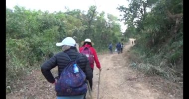 Bir grup insan dağlara ve ormanlara tırmanıyor.