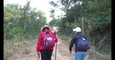 Bir grup insan dağlara ve ormanlara tırmanıyor.