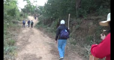 Bir grup insan dağlara ve ormanlara tırmanıyor.