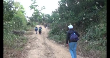 Bir grup insan dağlara ve ormanlara tırmanıyor.