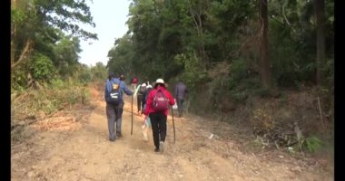 Bir grup insan dağlara ve ormanlara tırmanıyor.