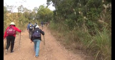 Bir grup insan dağlara ve ormanlara tırmanıyor.