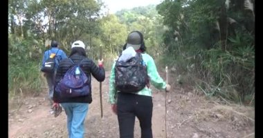 Bir grup insan dağlara ve ormanlara tırmanıyor.