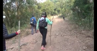 Bir grup insan dağlara ve ormanlara tırmanıyor.