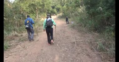 Bir grup insan dağlara ve ormanlara tırmanıyor.