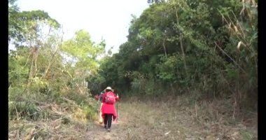 Bir grup insan dağlara ve ormanlara tırmanıyor.