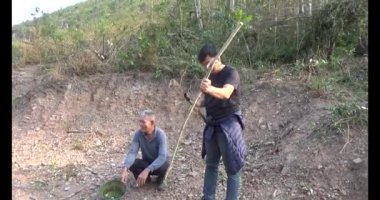 Bir grup insan dağlara ve ormanlara tırmanıyor.