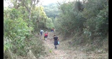 Bir grup insan dağlara ve ormanlara tırmanıyor.