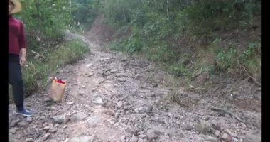 Bir grup insan dağlara ve ormanlara tırmanıyor.