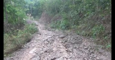 Bir grup insan dağlara ve ormanlara tırmanıyor.