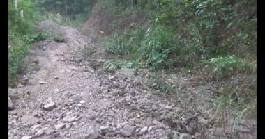 Bir grup insan dağlara ve ormanlara tırmanıyor.