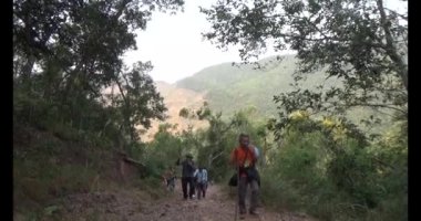 Bir grup insan dağlara ve ormanlara tırmanıyor.