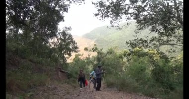 Bir grup insan dağlara ve ormanlara tırmanıyor.