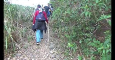 1 Ocak 2025, Hai Duong, Vietnam. Bir grup insan dağlara ve ormanlara tırmanıyor.