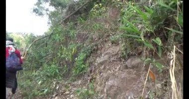 1 Ocak 2025, Hai Duong, Vietnam. Bir grup insan dağlara ve ormanlara tırmanıyor.