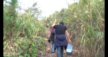 1 Ocak 2025, Hai Duong, Vietnam. Bir grup insan dağlara ve ormanlara tırmanıyor.