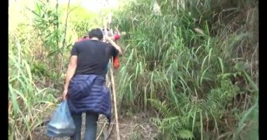 1 Ocak 2025, Hai Duong, Vietnam. Bir grup insan dağlara ve ormanlara tırmanıyor.