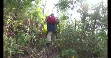 1 Ocak 2025, Hai Duong, Vietnam. Bir grup insan dağlara ve ormanlara tırmanıyor.