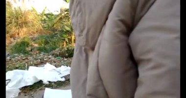 13 Ocak 2025, Hai Duong, Vietnam. Kırsal bölgedeki Tet pazarında yeni yıl pazarı