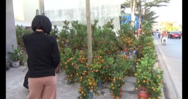 13 Ocak 2025, Hai Duong, Vietnam. Kırsal bölgedeki Tet pazarında yeni yıl pazarı