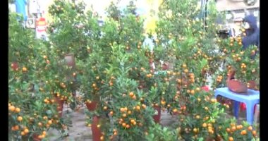 13 Ocak 2025, Hai Duong, Vietnam. Kırsal bölgedeki Tet pazarında yeni yıl pazarı