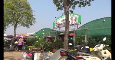 21 Ocak 2025, Hai Duong, Vietnam. Vietnam 'da Tet. Bayraklı sokaklar.