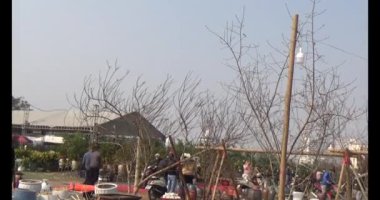 21 Ocak 2025, Hai Duong, Vietnam. Vietnam 'da Tet. Bayraklı sokaklar.