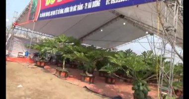 21 Ocak 2025, Hai Duong, Vietnam. Vietnam 'da Tet. Bayraklı sokaklar.