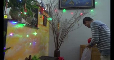 23 Ocak 2025, Hai Duong, Vietnam. Vietnam 'da Tet. Tet için şeftali çiçekleri ve kumkat ağaçları süsleyin.