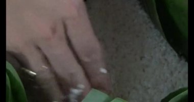  Vietnam 'da Chung keki yapan kadın. Banh chung gübre yapraklarıyla sarılmış, yapışkan pirinç, et ve fasulye.