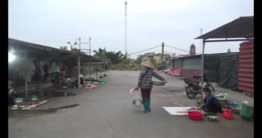 25 Ocak 2025, Hai Duong, Vietnam. Vietnam 'da Tet. Tet 'te piyasa. Çiçekler, şeftali, kumkat ve meyvelerle dolu Tet çiçek pazarı