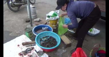 25 Ocak 2025, Hai Duong, Vietnam. Vietnam 'da Tet. Tet 'te piyasa. Çiçekler, şeftali, kumkat ve meyvelerle dolu Tet çiçek pazarı