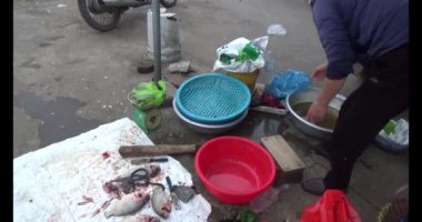 25 Ocak 2025, Hai Duong, Vietnam. Vietnam 'da Tet. Tet 'te piyasa. Çiçekler, şeftali, kumkat ve meyvelerle dolu Tet çiçek pazarı