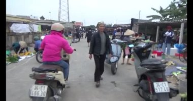 26 Ocak 2025, Hai Duong, Vietnam. Vietnam 'da Tet. Vietnam 'da yıl sonu çiçek pazarı