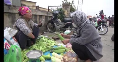 26 Ocak 2025, Hai Duong, Vietnam. Vietnam 'da Tet. Vietnam 'da yıl sonu çiçek pazarı