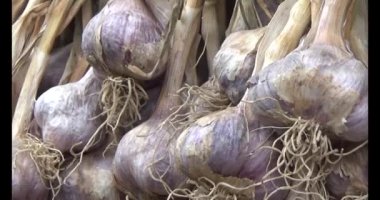 Soğan, zencefil ve sarımsak kurutma