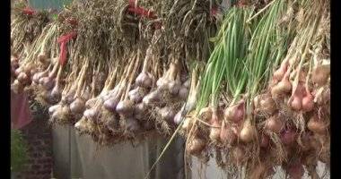 Soğan, zencefil ve sarımsak kurutma