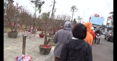 26 Ocak 2025, Hai Duong, Vietnam. Vietnam 'da Tet. Vietnam 'da yıl sonu çiçek pazarı. Piyasa çok fazla şeftali çiçeği ve kumkat satıyor.