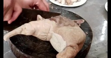 Domuz bağırsaklarını kesmek için bıçak.