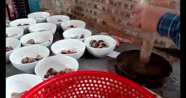 Domuz bağırsaklarını kesmek için bıçak.